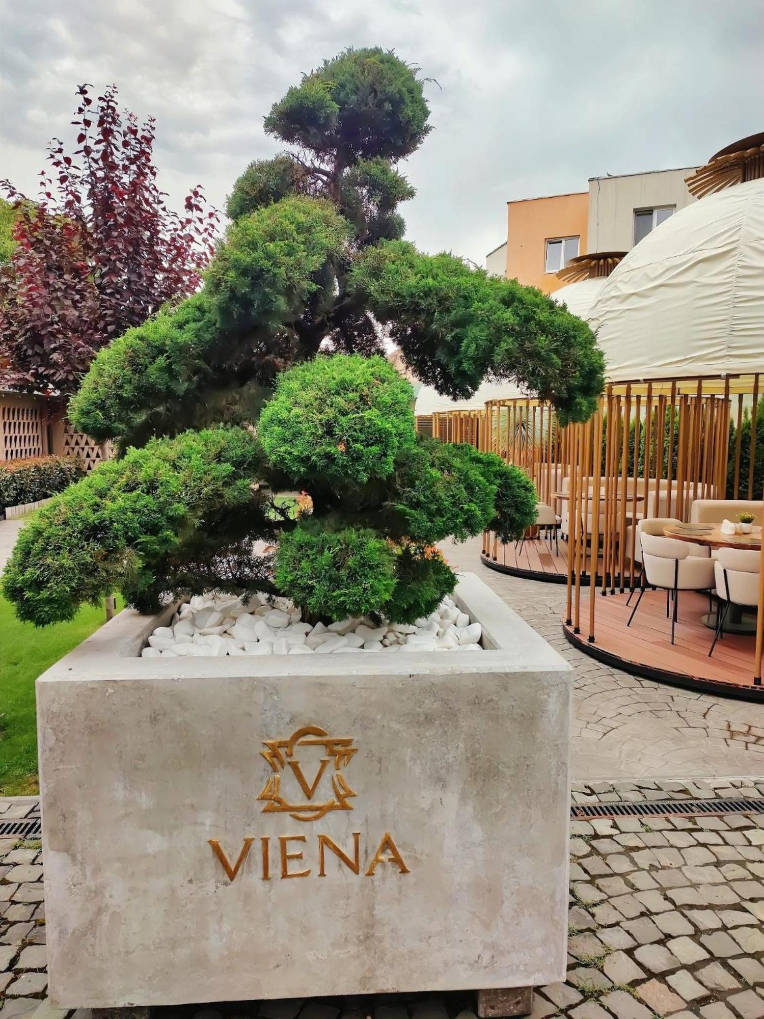 Hotel Viena 萨图马雷 外观 照片